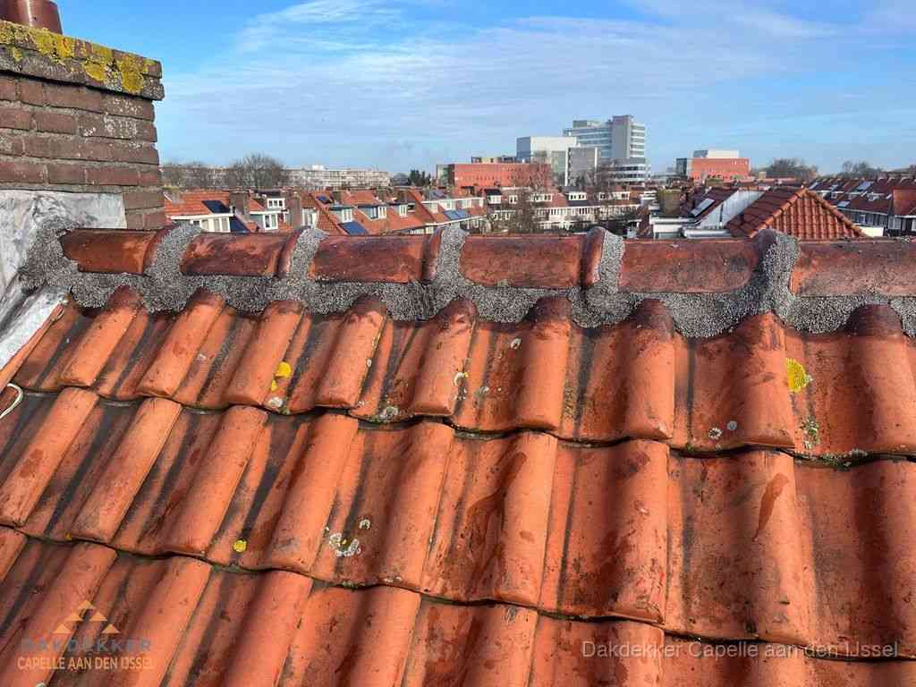 Capelleaandenijssel Daken Renoveren Capelleaandenijssel Daken Renoveren